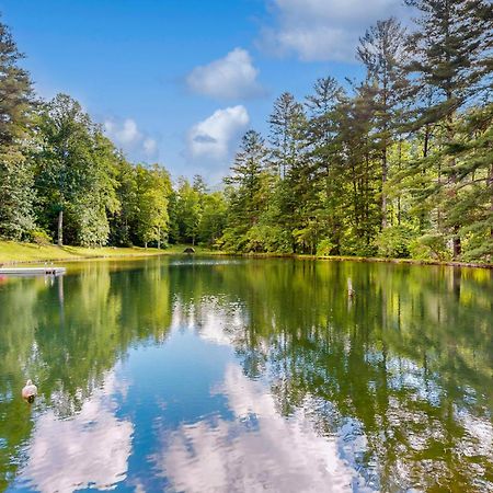 Bull Creek Peaceful Escape Villa Asheville Buitenkant foto