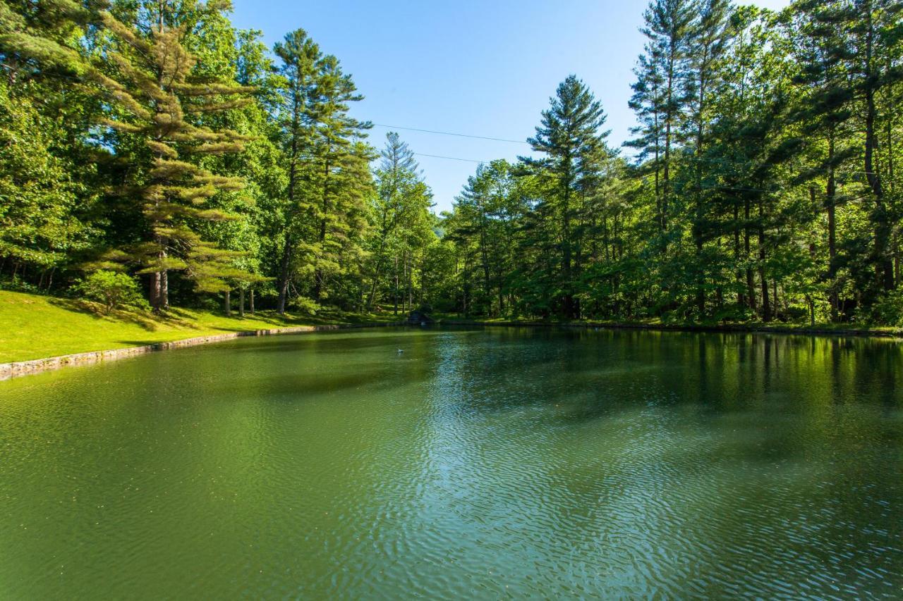 Bull Creek Peaceful Escape Villa Asheville Buitenkant foto